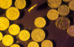Coin, coins, australian coin, australian coins, one dollar coin, one dollar coins, two dollar coin, two dollar coins, gold coin, gold coins, cash, australian currency, money, australian money.