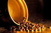 Agriculture, coffee, coffee bean, coffee beans, bean, beans.