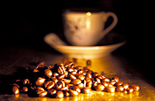 Agriculture, coffee, coffee bean, coffee beans, bean, beans.