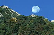 Moon, moons, the moon, circle, circles, moonrise, moonrises, sky, skies, sky scene, sky scenes, planet, planets, terrestrial planet, mountain, mountains.