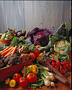 Vegetable, vegetables, tomatoe, tomatoes, radish, radishes, mixed vegetables, cauliflower, cauliflowers, carrot, carrots, cabbage, cabbages.