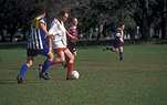 Sport pictures, Sports, soccer, soccer game, soccer games, soccer player, soccer players, soccer ball, soccer balls, men, man, male, males, football, football game, football games, football player, football players, ball, balls.