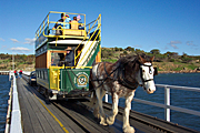 Australia, SA, South Australia, Victor, Victor Harbour, Granite Island, Animal, Animals, Horse, horses, horse-drawn tram, horse-drawn trams, tram, trams, clydesdale, clydesdales, clydesdale horse, clydesdale horses, draft, draft horse, draft horses, fleurieu, peninsula, peninsulas, Fleurieu Peninsula.