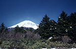 Asia, japan, mountain, mountains, mountain range, mountain ranges, winter, winter scene, winter scenes, snow, cold, coldness, snow scene, snow scenes, fuji, mount fuji.