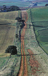 Australia, SA, South Australia, Kapunda, Farming, Farmland, farm, farms, road, roads, unsealed road, unsealed roads, dirt road, dirt roads, rural, rural scene, rural scenes.