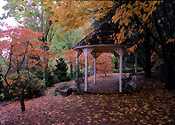 Australia, New South Wales, blue mountains, great dividing range, mt wilson, mount wilson, garden, gardens, rotunda, rotundas, autumn, autumn foliage, autumn scene, autumn scenes, park, parks, lindfield, lindfield park.