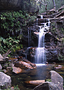 Australia, New South Wales, blue mountains, great dividing range, glenbrook, Glenbrook NP, Glenbrook National Park, national park, national parks, Konuka Brook falls, waterfall, waterfalls, running water, creek, creeks, stream, streams, water, water, rock, rocks, rainforest, rainforests, forest, forests.