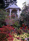 Garden, Gardens, gazebo, gazebos, summerhouse, summerhouses, summer house, summer houses, leura, blue mountains, great dividing range, nsw, new South Wales, australia, azalea, azaleas, magnolia, magnolias, magnolia tree, magnolia trees, pine crest.