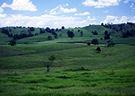 Australia, Queensland, Qld, Dulong, hill, hills, green hill, green hills, rural, rural scene, rural scenes, farming land, farm land.
