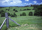 Australia, Qld, Queensland, Dulong, rural, rural scene, rural scenes, hill, hills, green hill, green hills, rolling hill, rolling hills, fence, fences, post, posts, wood, wooden, great dividing range.