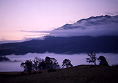 Australia, tas, tassie, tasmania, roland, mist, fog, tree, trees, mountain, mountains, rural, rural scene, rural scenes, mood, mood scene, mood scenes.