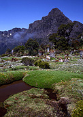 Australia, Tasmania, Tas, Tassie, National Park, National Parks, pandai, pandai shelf, mountain, mountains, mount anne, mt anne, south west national park.