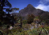 Australia, Tasmania, Tas, Tassie, National Park, National Parks, pandai, pandai shelf, mountain, mountains, mount anne, mt anne, south west national park.