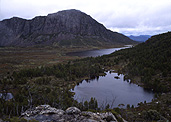 Australia, Tasmania, Tas, Tassie, National Park, National Parks, Walls of Jerusalem, Walls of Jerusalem National Park, lake, lakes, lake salome, water, peak, peaks, king david, king david's peak, mountain, mountains.