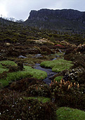 Australia, Tasmania, Tas, Tassie, National Park, National Parks, Walls of Jerusalem, Walls of Jerusalem National Park, damascus gates, solomons throne.
