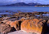 Australia, Tasmania, Tas, Tassie, National Park, National Parks, freycinet, freycinet peninsula, peninsula, peninsulas, freycinet national park, freycinet np, mountain, mountains, the hazards, hazards, rock, rocks, boulder, boulders.