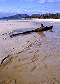Australia, Tasmania, Tas, Tassie, National Park, National Parks, freycinet, freycinet peninsula, peninsula, peninsulas, freycinet national park, freycinet np, mountain, mountains, the hazards, hazards, beach, beaches, sand, water, seashore, seashores, shoreline, shorelines.