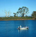 Australia, new South Wales, nsw, kempsey, river, rivers, macleay, macleay river, fishing, fisherman, fishermen, boat, boats, boating, water, man, men, male, males, outdoors.