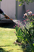 Garden, gardens, water, waters, watering, garden hose, garden hoses, garden hosepipe, garden hosepipes, hose, hoses, hosepipe, hosepipes, lawn, lawns.