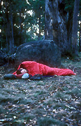 Australia, New South Wales, man, men, male, males, outdoors, sleep, sleeps, sleeping, asleep, camp, camps, camping, sleeping bag, sleep bags, HOL08,