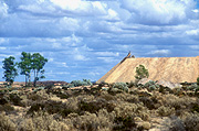 Australia, WA, Western Australia, mine, mines, mining, goldfields, gold mine, gold mines, gold mining, Kalgoorlie, Boulder, open cut, open cut mine, open cut mines, open cut mining, truck, trucks, dump truck, dump trucks.