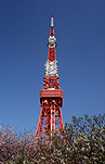 Asia, japan, tokyo, tokyo tower, tower, towers, structure, structures, metal, architecture, steel, steel construction, steel constructions, radio tower, radio towers, television tower, television towers, monolith, monoliths, iron monolith, iron monoliths, iron, royalty free images, rf, communication, communication tower, communication towers.