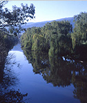 Australia, Vic, Victoria, river, rivers, water, mitta, mitta mitta, mitta mitta river, tree, trees, great dividing range.