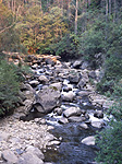 Australia, Vic, Victoria, river, rivers, kiewa river, east kiewa river, kiewa, rock, rocks, forest, forests, boulder, boulders.