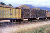 Australia, qld, queensland, sugar, sugarcane, sugar cane, rural, rural scene, rural scenes, cane, palm tree, palm trees, train, trains, wheel, wheels, train wheel, train wheels, track, tracks, railway track, railway tracks, railway line, railway lines, rural, rural scene, rural scenes, transport, transportation, vehicle, vehicles, transportation, train track, train tracks.