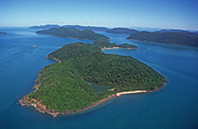 Australia, qld, queensland, long island, long island np, long island national park, national park, national parks, rainforest, rainforests, DFF, DFFNATPKS.