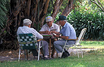 Man, men, male, males, old, elderly, aged, aged people, old man, old men, park, parks, elderly man, elderly men, cards, card game, card games, playing cards, outdoors, sydney, nsw, new South Wales, australia, chair, chairs, park, parks.