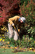 People, man, men, male, males, gardener, gardeners, gardening, garden, gardens, elderly, old, aged, elderly man, elderly men, old man, old men, aged people, outdoors.