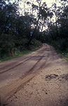 Road, roads, unsealed road, unsealed roads, dirt road, dirt roads, SA, South Australia, Australia, forest, forests, wood, woods.