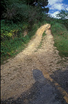 Road, roads, unsealed, dirt, track, tracks, unsealed road, unsealed roads, dirt road, dirt roads, dirt track, dirt tracks, SA, South Australia, Australia.