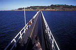Australia, SA, South Australia, Victor, Victor Harbour, Granite Island, causeway, causeways, granite, Animal, Animals, Horse, horses, horse-drawn tram, horse-drawn trams, fleurieu, Fleurieu Peninsula, peninsula, peninsulas, jetty, jetties, pier, piers.
