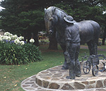 Australia, SA, South Australia, Angaston, horse, horses, draught, draft, draft horse, draft horses, monument, monuments, memorial, memorials, statue, statues, animal, animals.