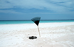 Caribbean, caribbean islands, bahamas, the bahamas, beach, beaches, coast, coasts, coastline, coastlines, seashore, seashores, shoreline, shorelines, sand, sea, seas, seascape, seascapes, sand, rake, rakes, garden rake, garden rakes, harbour island, harbour island beach.
