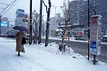 Asia, Japan, Sapporo, snow, snow scene, snow scenes, winter, umbrella, umbrellas, snowing, people, Royalty Free Image