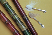 Agriculture, cane, sugarcane, sugarcane, sugar, sugar cane, spoon, spoons, Royalty Free Image