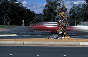 Sign, Signs, roadsign, roadsigns, road sign, road signs, tribute, tributes, wreath, wreaths, cross, crosses, deaths, fatality, fatalities, road signs, traffic signs, road fatality, road fatalities, road death, road deaths, accident, accidents, car accident, car accidents, australia, new South Wales, nsw, no through road, no through roads, flower, flowers, beer, beer bottle, beer bottles, bottle, bottles, road, roads, sealed, sealed road, sealed roads, car, cars, speed, speeds, speeding.