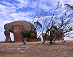 Australia, South Australia, SA, Streaky Bay, Eyre Peninsula, outback, australian outback, cloud, clouds, outback australia, tree, trees, gum tree, gum trees, eucalyptus, eucalyptus tree, eucalyptus trees, inselberg, inselbergs, hitaba granite, granite, hitaba, rock, rocks, rock formation, rock formations, murphys haystacks, haystack, haystacks, murphy, murphys.