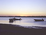 Australia, New South Wales, Forster, Green Point, Wallis Lake, Lake, Lakes, water, boat, boats, boating, moored boat, moored boats, shoreline, shorelines, wallis, great lakes, great lakes district.