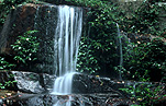 Australia, New South Wales, Washpool, Washpool NP, National Park, National Parks, Washpool national park, waterfall, waterfalls, summit, summit falls, water, running water, forest, forests, rainforest, rainforests.