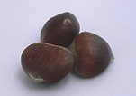 Nut, Nuts, Chestnut, Chestnuts, Food, Aesculus, sweet chestnut, sweet chestnuts, April Gold, Agriculture.