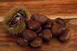 Nut, Nuts, Chestnut, Chestnuts, Food, Aesculus, sweet chestnut, sweet chestnuts, April Gold, Agriculture.