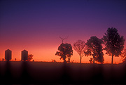 Australia, New South Wales, Rural, Rural Scene, Rural Scenes, Farming, Farmland, farm, farms, Agriculture, crop, crops, silo, silos, storage, sunset, sunsets, sunrises and sunsets, tree, trees.