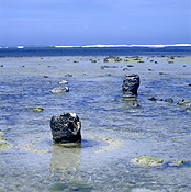 Australia, SA, South Australia, port macdonell, macdonell, paleontology, stromatolite, shoreline, shorelines, seashore, seashores, stromatolites, fossil, coast, coasts, coastal, coastline, coastlines, fossils, organism, bacteria, bacterias, cyanobacteria, cyanobacterias, coast, coasts, coastline, coastlines, seashore, seashores, shoreline, shorelines.