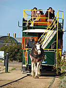 Australia, SA, South Australia, Victor, Victor Harbour, Granite Island, Animal, Animals, Horse, horses, horse-drawn tram, horse-drawn trams, tram, trams, clydesdale, clydesdales, clydesdale horse, clydesdale horses, draft, draft horse, draft horses, fleurieu, peninsula, peninsulas, Fleurieu Peninsula.