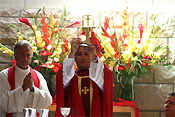 Religion, religions, religious, religious building, religious buildings, catholic, catholics, catholic religion, roman catholic, roman catholics, roman catholic church, roman catholicism, christianity, christian, christians, faith, spirituality, worship, worships, worshipping, people, man, men, male, males, catholic church, catholic churches, interior, interiors, parish, parishes, mass of ordination, ordination, ordinate, ordinates, seminarian, seminarians, consecrate, consecrates, consecrating, priest, priests, mass, mass, eucharist, eucharists, eucharistic rite, eucharistic rites, sacrament, sacraments, holy sacrament, sacramental wine, consecrated wine, MM49,