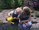 People, woman, Women, people, child, children, toddler, toddlers, female, females, girl, girls, motherhood, mothering, parent, parents, parenthood, parenting, mother and child, mothers and children, mother with baby, mothers with babies, mother with child, mothers with children, nurture, nurtures, nurturing, family, families, family scene, family scenes, garden, gardens, gardening, people gardening, child gardening, children gardening, watering can, watering cans, AM04,